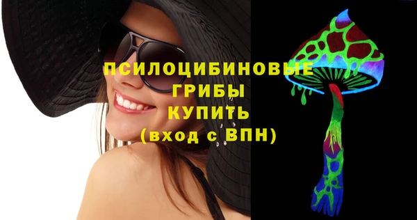амф Касимов