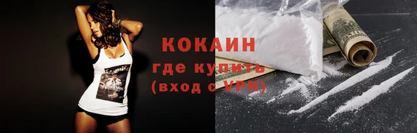 шишки Карпинск