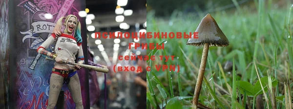 шишки Карпинск