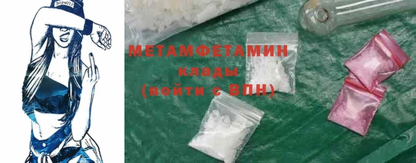 шишки Карпинск