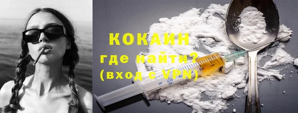 шишки Карпинск