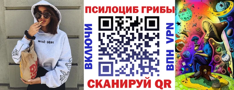 Купить закладки  Белозерск  Псилоцибиновые грибы Psilocybine cubensis 